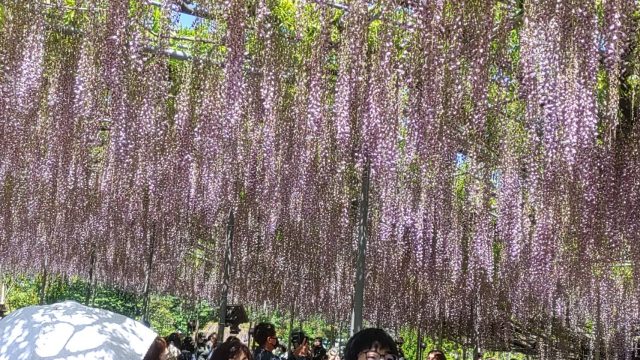 GWの思い出②
