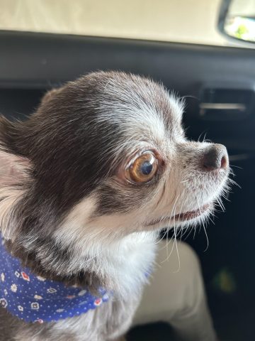 6月21日☔