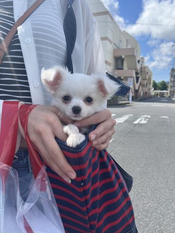 6月13日🐶