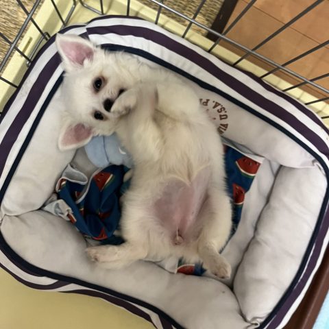6月17日🐶