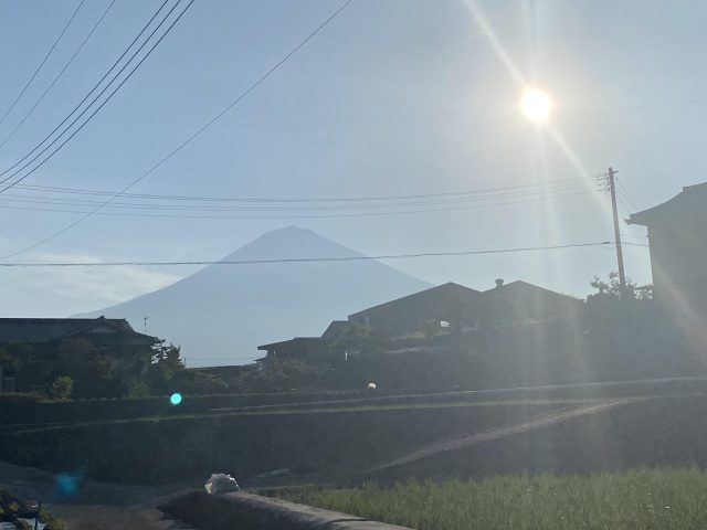 🌻夏季休業のお知らせ🌻