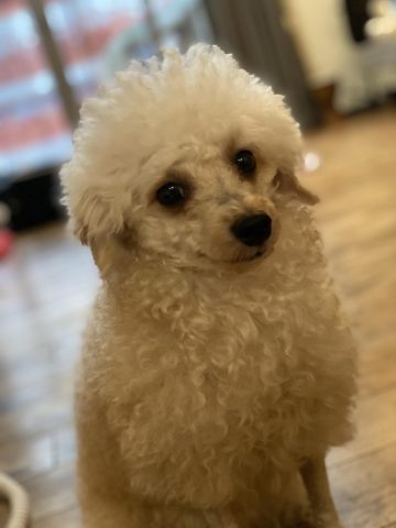 9月7日🌞