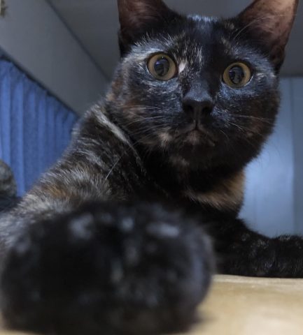 10月13日😸